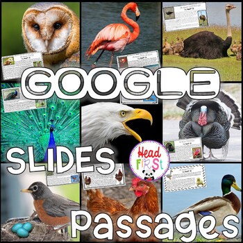 Preview of DIGITAL Birds Close Reading Passages Questions Writing Google Classroom Bundle
