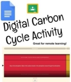DIGITAL Carbon Cycle Activity- Great for Virtual Students 