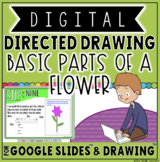 BASIC PARTS OF A FLOWER DIGITAL DIRECTED DRAWING IN GOOGLE DRIVE™