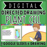 PLANT CELL DIGITAL ACTIVITY FOR GOOGLE DRIVE™