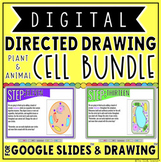 DIGITAL DIRECTED DRAWING IN GOOGLE SLIDES™: CELL BUNDLE