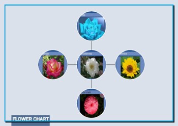 Preview of DIGITAL DOWN LOADS PICTURES OF FLOWERS + CHART