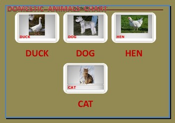 Preview of DIGITAL DOWNLOADS DOMESTIC ANIMALS PICTURES DOWNLOAD AND PASTE+ CHART