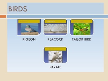 Preview of DIGITAL DOWNLOADS PICTURES OF BIRDS +VIDEO OF A BIRD SINGING☀CHART