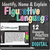 DIGITAL Figurative Language Practice Worksheets | Distance
