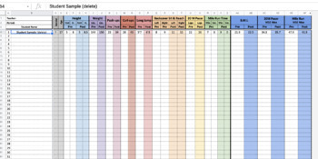Preview of DIGITAL Fitnessgram Template w/ VO2 Max Calculator (google sheets)