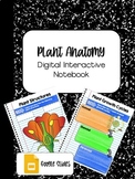 DIGITAL INTERACTIVE NOTEBOOK: Plant Anatomy