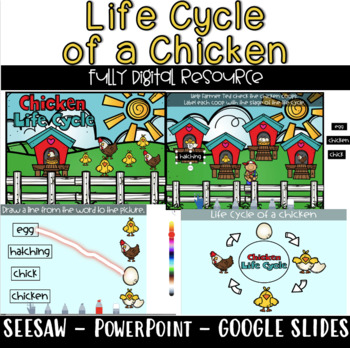 Preview of DIGITAL: Life Cycle of a Chicken- Seesaw - Google Slides