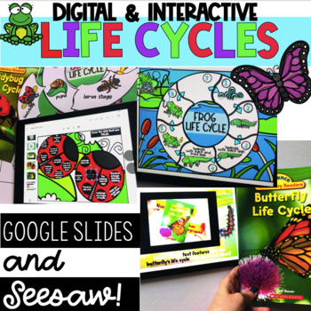 Preview of DIGITAL Life Cycles - Interactive Google Slides &  Seesaw - Distance Learning