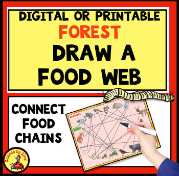 Preview of DRAW A FOREST FOOD WEB ACTIVITY Connect FOOD CHAINS Energy Flow