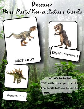 Preview of DINOSAUR Montessori Cards Flash Cards Three-Part/Nomenclature FlashCards