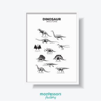 Preview of DINOSAUR SKELETONS Science Kid Room Wall Art Montessori Educational Poster Chart