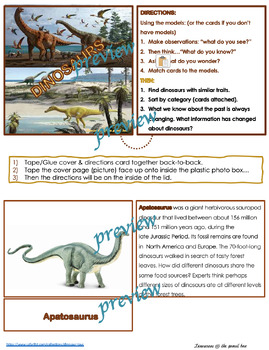 Preview of DINOSAURS & PREHISTORIC ANIMALS with information cards TODDLER to ADULT