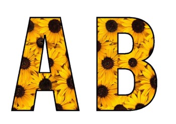 DISPLAY LETTERS - SUNFLOWERS by The Hat | Teachers Pay Teachers