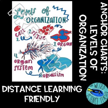 Preview of DISTANCE LEARNING SCIENCE ANCHOR CHART/ SCAFFOLDED NOTES: LEVELS OF ORGANIZATION