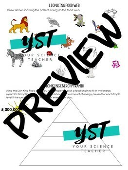 Exploring the Circle of Life – The Food Web in The Lion King