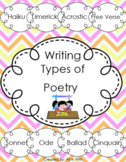 DISTANCE LEARNING Types of Poetry for Google Classroom!