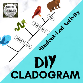 Preview of DIY Cladogram Student Activity