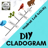 DIY Cladogram Student Activity