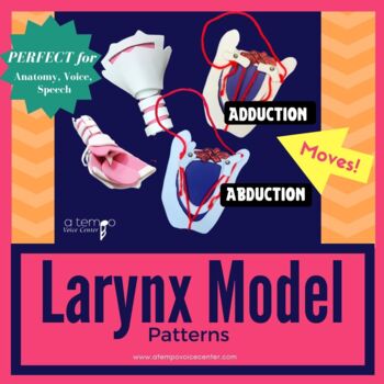 Preview of DIY Foam Larynx Model Patterns