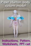 DIY Paper human body system model, biology science activit