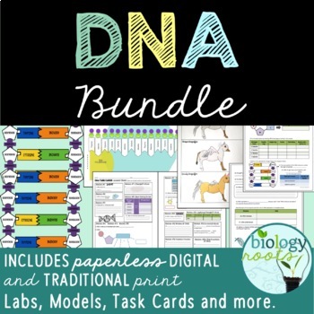 Preview of DNA Unit Bundle