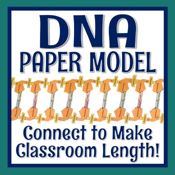Preview of DNA Activity Create Paper DNA Structure Model NGSS-LS3-1