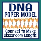 DNA Activity Create Paper DNA Structure Model NGSS-LS3-1