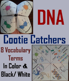 DNA Structure & Function Activity: Genetics & Heredity Coo