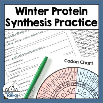 Preview of DNA Activity for Winter - Protein Synthesis Holiday Activity