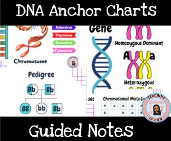 Preview of DNA Structures Notes Anchor Charts Biology DNA Word Wall