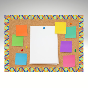 science borders for bulletin boards