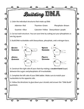 Preview of DNA Build and replication activity