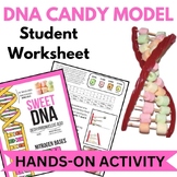 DNA CANDY MODEL ACTIVITY (Hands-on - Edible Lab)