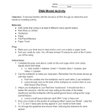 DNA Candy Model Activity