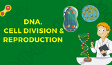 DNA, Cell Division, & Reproduction Bundle