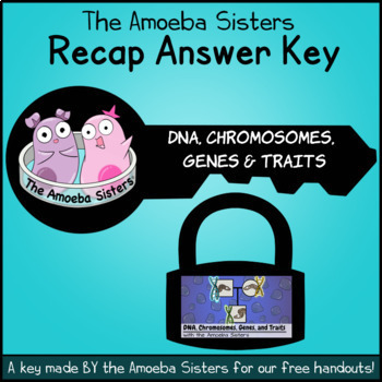 Preview of DNA, Chromosomes, Genes, & Traits: Intro to Heredity Recap KEY by Amoeba Sisters