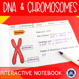 DNA & Chromosomes Interactive Notebook Activity (Introduct