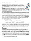 DNA Coloring (KEY)