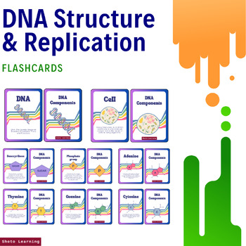 Preview of DNA Components Flashcards: Explore the Molecules of Life