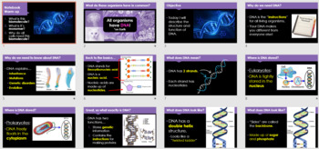 Preview of DNA Components PPT