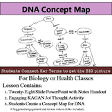 DNA Concept Map - Link Key Terms to Teach Students the Big