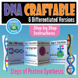 DNA Craft | Protein Synthesis Lesson | Science Activity | 