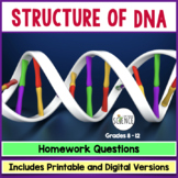 DNA Structure Homework