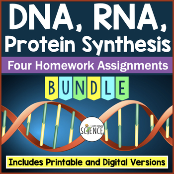 Preview of DNA RNA Protein Synthesis Homework Bundle Replication Transcription Translation