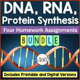 DNA RNA Protein Synthesis Homework Bundle Replication Tran