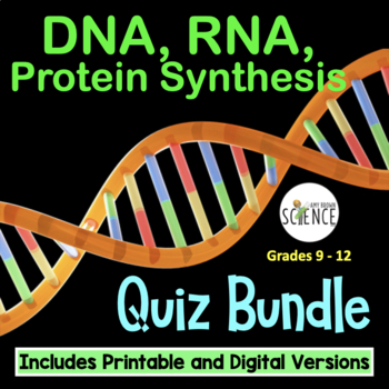 Preview of DNA RNA Protein Synthesis Quiz Bundle