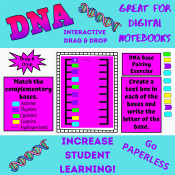 Preview of DNA Digital Notebook Drag & Drop Activity