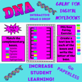 DNA Digital Notebook Drag & Drop Activity