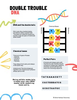 Preview of DNA Edible Project